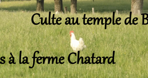 Fête d’automne
